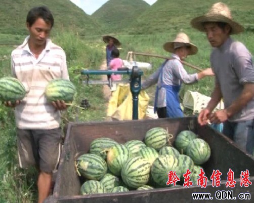 �_�����������˲���ޣ��D��