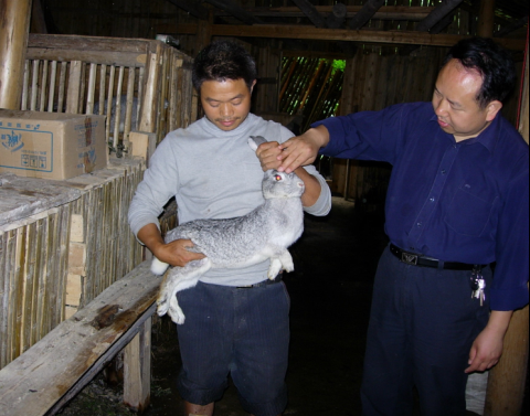 劍河青年農民楊光文養兔致富(圖)