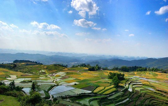 美不可言 貴州五大秒殺攝影師的梯田(組圖)