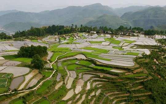 美不可言 貴州五大秒殺攝影師的梯田(組圖)