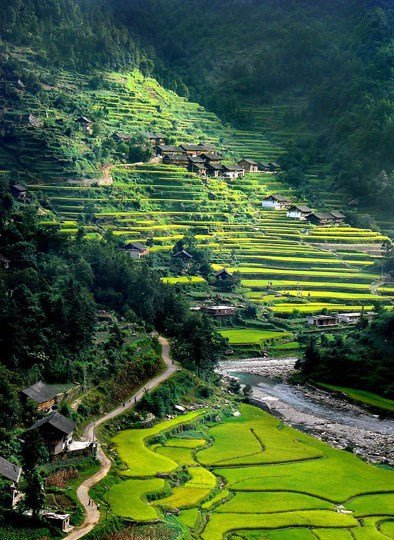 美不可言 貴州五大秒殺攝影師的梯田(組圖)