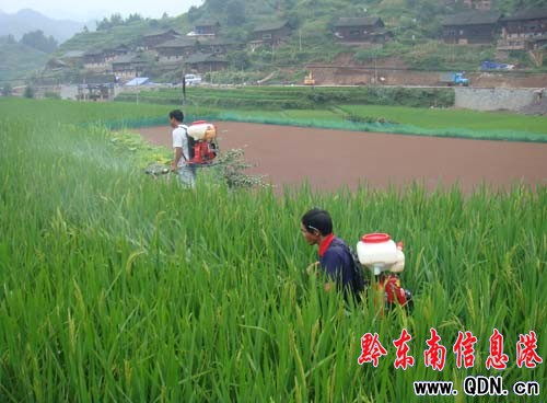 ��ɽȫ�����ˮ�����x�����α����𣨈D��