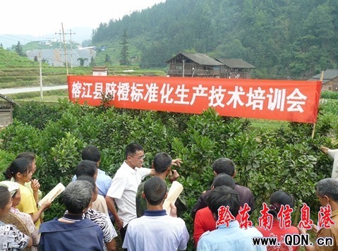 �Ž��Ӵ�Ě�Ș˜ʻ����a���g��Ӗ���ƏV����(�D)