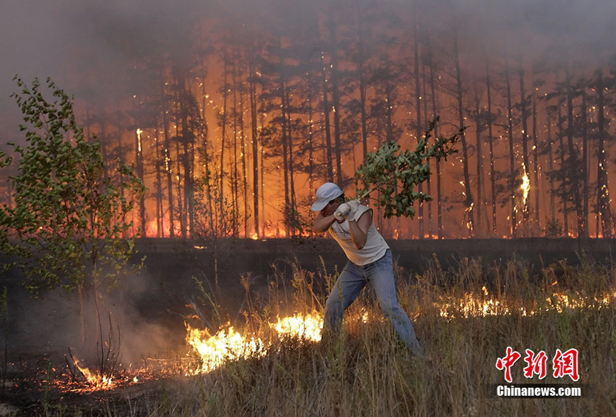 ���ܴ����Ű���_˹Ī˹�Ʊ����Ҹ��w