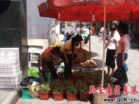 芳香的葡萄 吸引八方客(圖)