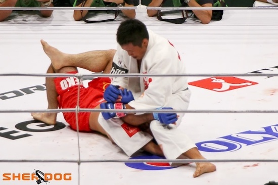 �M�D���ձ�UFC����ِ�����ʮ�� ��AV�翴��