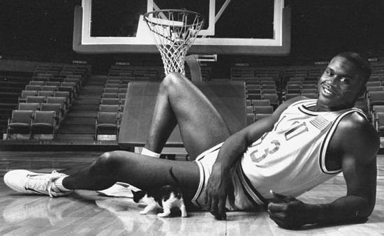 �W�᠖����r�����F��Ƭ ���p����Ƭ��������