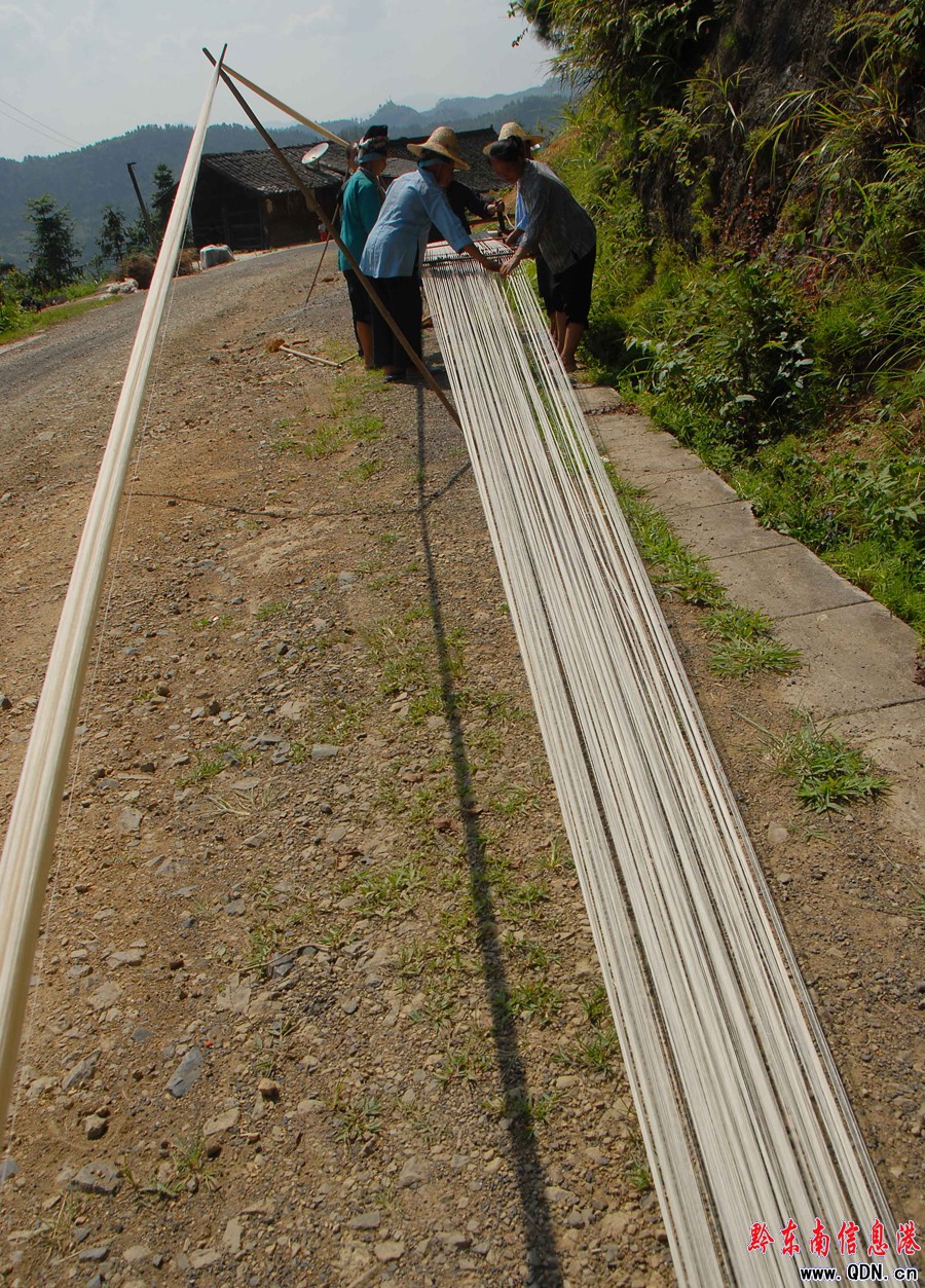 ��������æ���M�D��