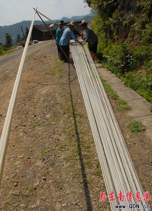 ��կ��������æ���M�D��