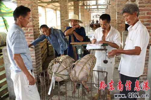 �\���i��ɽ���� �i�Ѓr(ji��)��6Ԫÿ��q��8Ԫ���D��