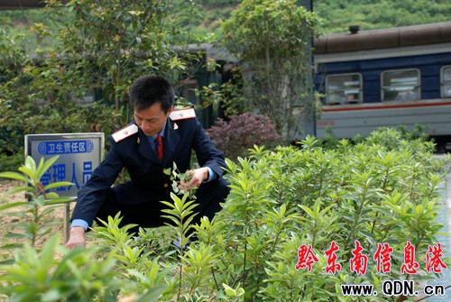 凱里火車站黨員人人有塊“綠化責任田”(圖)
