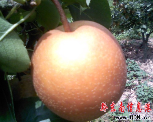 �\�����ع����f���������M֦�^���D��