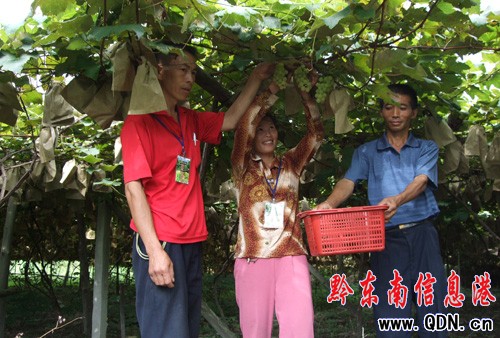 ��ɽ�_�ʹ��e�k���Č������Ļ���(ji��)���D��