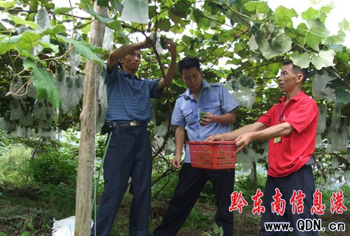 ��ɽ�_�ʹ��e�k���Č������Ļ���(ji��)���D��