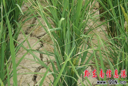 ����Ͷ��180�fԪȫ���������磨�M�D��