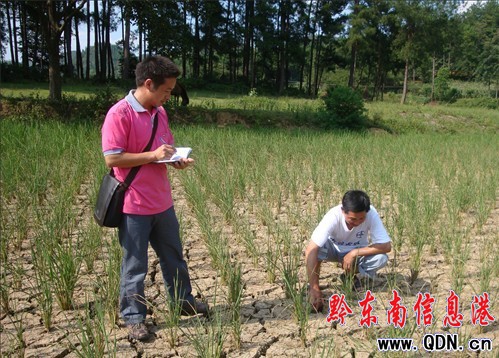 �얺����(y��n)�� 11�l(xi��ng)�(zh��n)�����Ȟ�(z��i)���D��