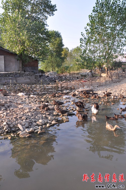 ������������h7.5�f���ܞ�(z��i) 0.43�f���r(n��ng)����^��