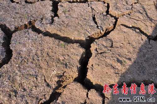 ������������h7.5�f���ܞ�(z��i) 0.43�f���r(n��ng)����^��