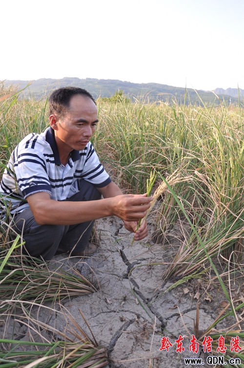 ������������h7.5�f���ܞ�(z��i) 0.43�f���r(n��ng)����^��