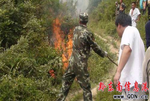 劍河警民聯(lián)手成功撲滅一起森林火災(zāi)(圖)