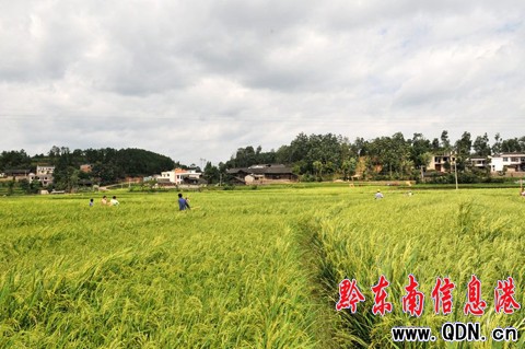 �얣�����ϲҊ����ǧ�ص��S�ՉѾ����D��