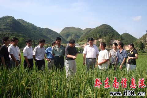 �����A��������l�{�п����ȞĹ������D��