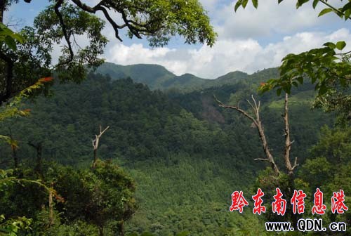 ��Ȼ����ɽ�f��������ԭʼɭ�־��^(q��)���M�D��