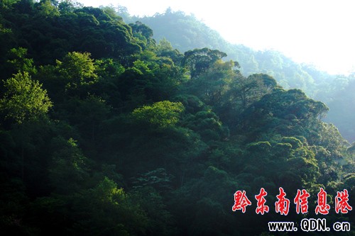 ��Ȼ����ɽ�f��������ԭʼɭ�־��^(q��)���M�D��