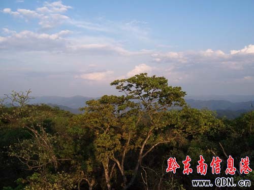 ��Ȼ����ɽ�f��������ԭʼɭ�־��^(q��)���M�D��