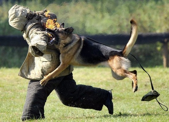 �Ї��������b���طN�� Ӳ�h�ؿ����ʯ(�D)