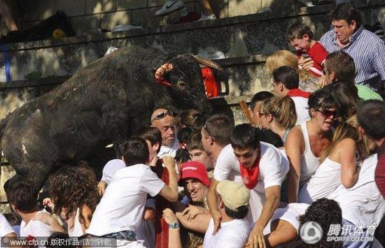 �M�D����ţ���٬F�K�� ��ţ�_�뿴�_��30��