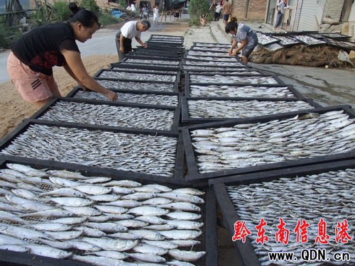 劍河仰阿莎湖網箱養魚景觀秀麗(圖)