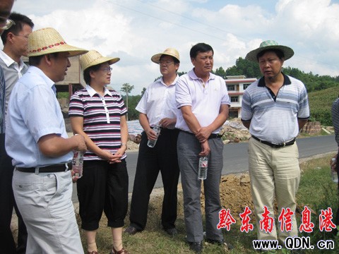 黔東南州委副書記韓卉到爐山調研烤煙情況(組圖)