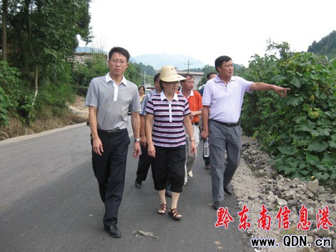 黔東南州委副書記韓卉到爐山調研烤煙情況(組圖)