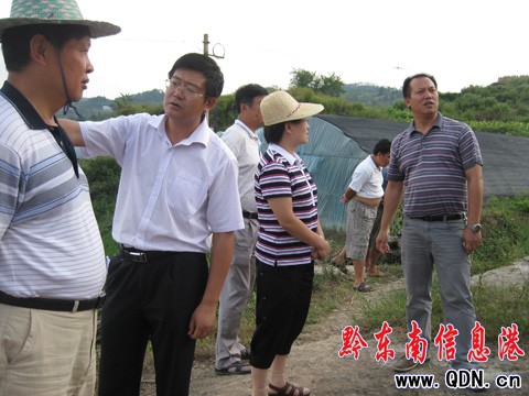 黔東南州委副書記韓卉到爐山調研烤煙情況(組圖)