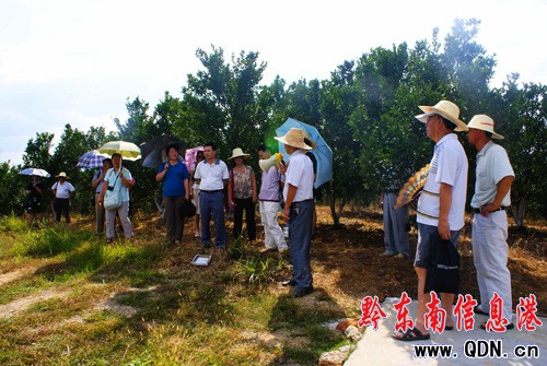 �\����ɽ�Gˮ�����F��ʡ�����W��ǰ�����L���D��