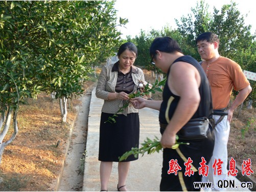 �A���r�I��W���������ᵽ�\������ָ������