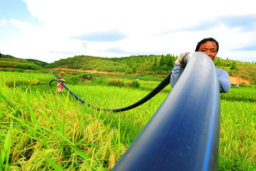 �r�����ܞ� �ɲ���Ⱥ��ͬ�������D��