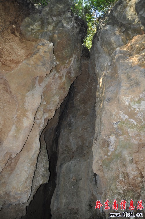 �P�ｭ�ڴ�{��������@�F���ѿp���D��