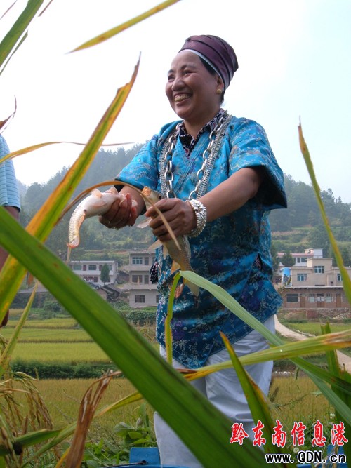 �Sƽ500���߮a(ch��n)�������B(t��i)�B(y��ng)�~ϲ�@�S�գ��D��