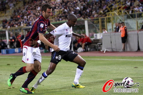 組圖:巖石血染賽場 獵豹無奈平局眼神已空洞