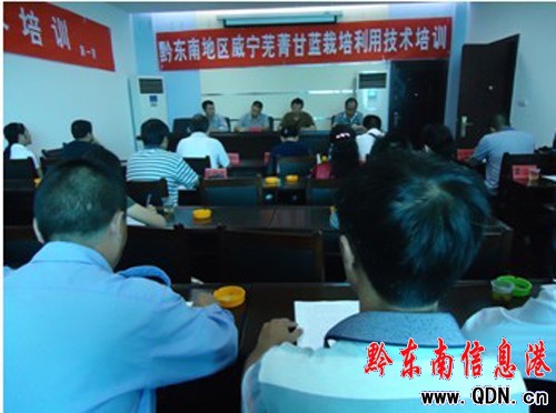 ǭ�|������ʏݼ�ջ@����������Ӗ���P�����_