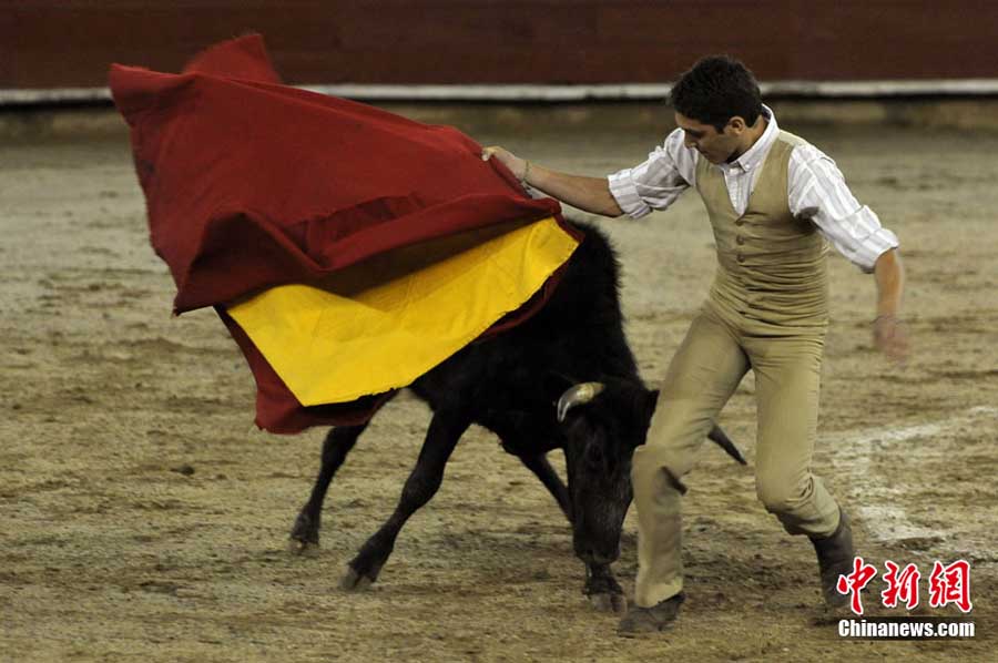 ̽�L�炐�ȁ��Ķ�ţ�WУ