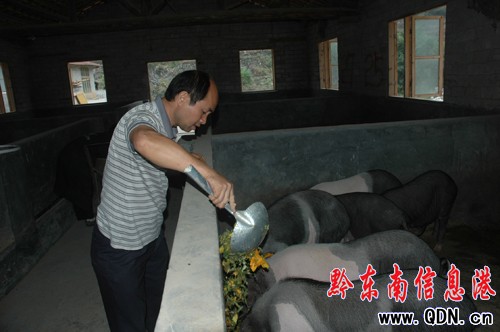 �����Y����Ͷ��400�fԪ��ֳǭ�|Ʒ�ƻ��i