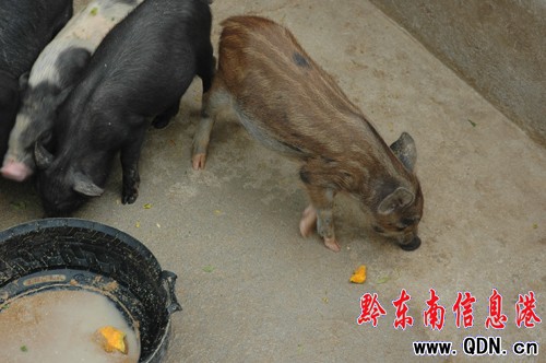 �����Y����Ͷ��400�fԪ��ֳǭ�|Ʒ�ƻ��i