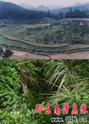 �R��կ�ܴa ����������cꐈA�A�w�[�ؽ���(�M�D)