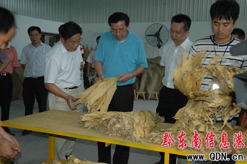 ���w�S�������{(di��o)�� Ҫ��S�o��������������(w��n)��