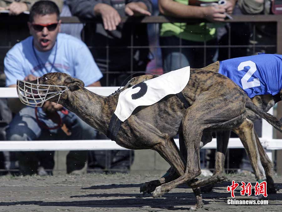 ����ِ���\��ِ���CȮ�ܵ�����