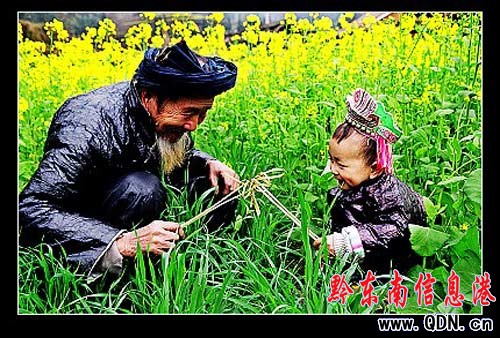 ���݃ɼ���Ʒ���˿�Ӌ�������zӰ��ِ�Ы@���Ȫ�