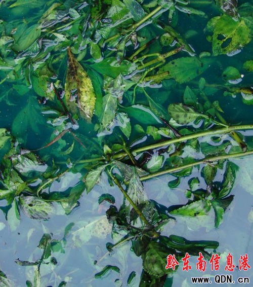 ���Ӿ��������{���L�ݺã��D��